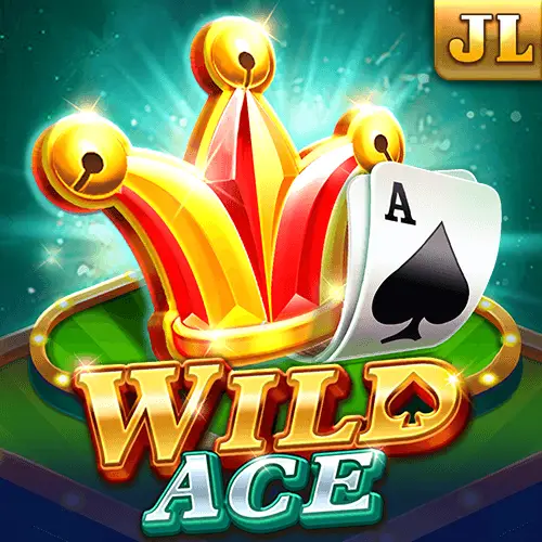 1bbet - wild